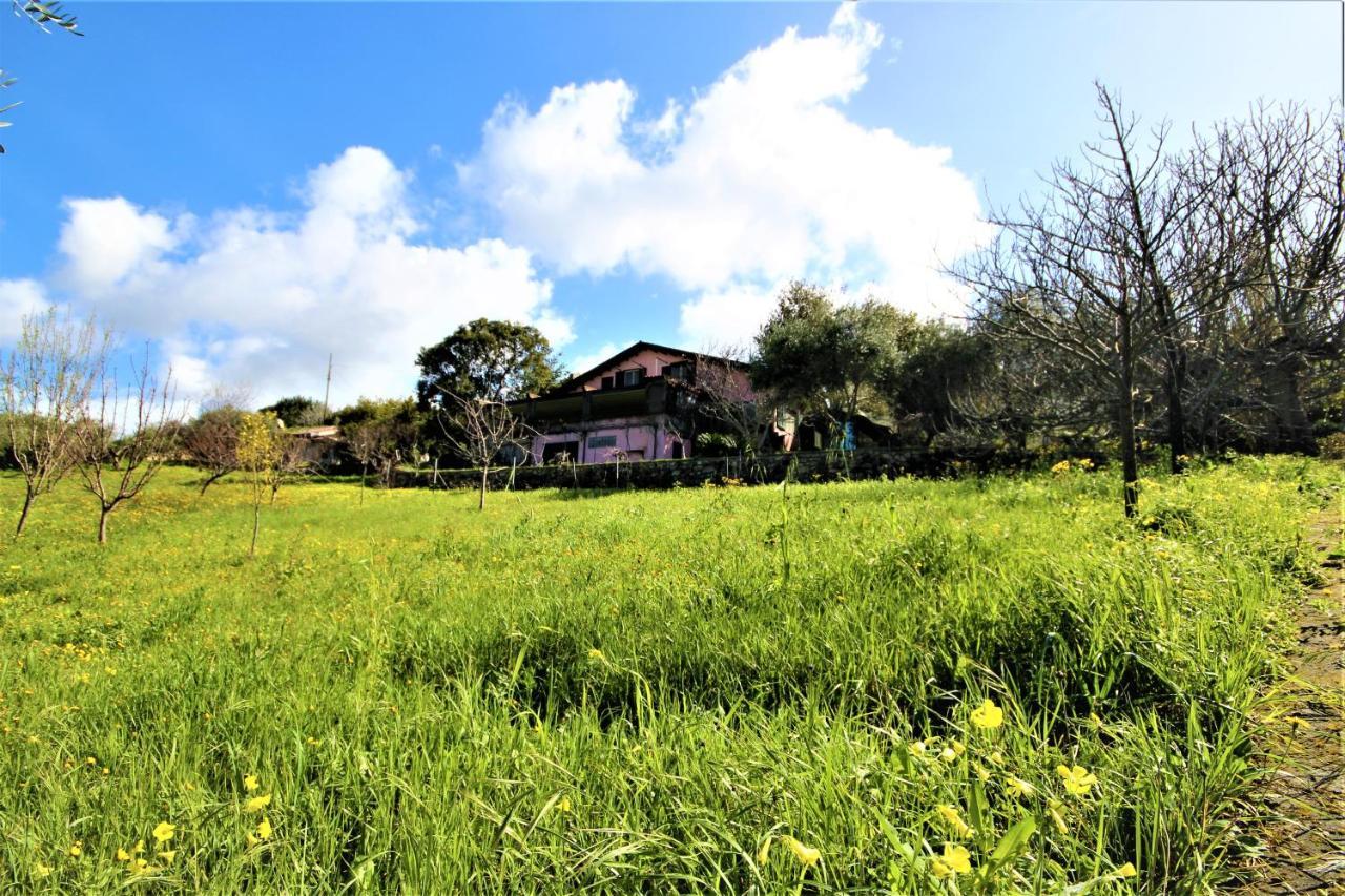 La Tinaia Country House Magomadas Esterno foto