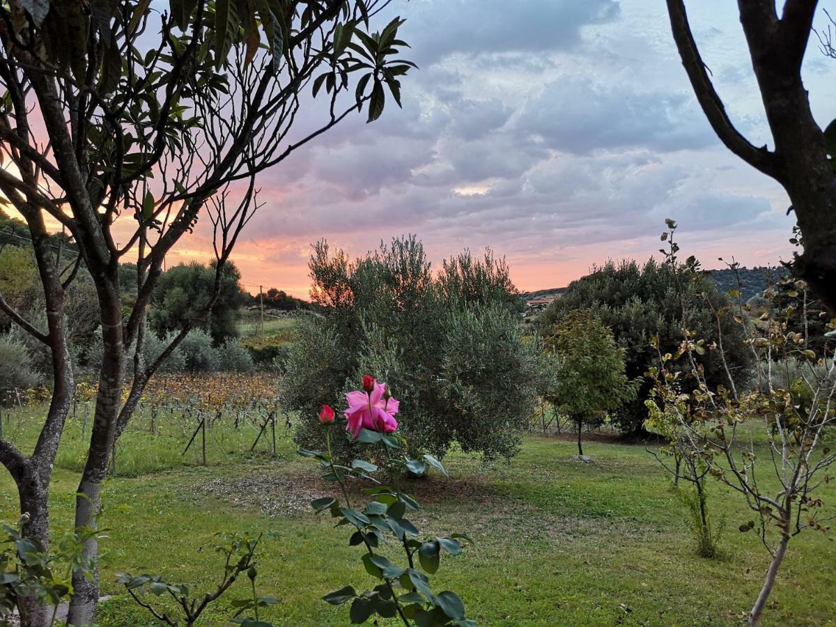 La Tinaia Country House Magomadas Esterno foto